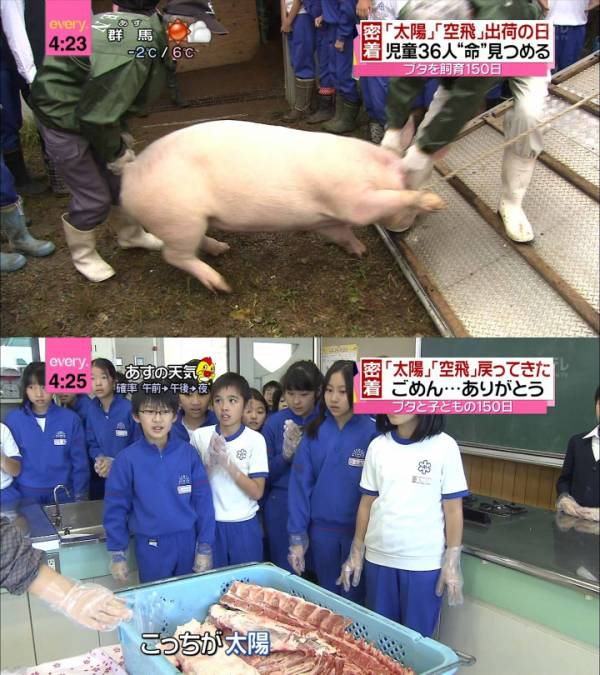 悲報 頭の良いガキ 気がついてしまう 女子アナお宝画像速報 5chまとめ 悲報 頭の良いガキ 気がついてしまう 女子アナお宝画像速報 5chまとめ