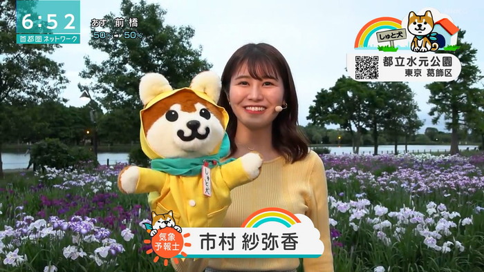 市村紗弥香のニットおっぱい