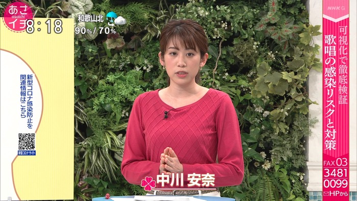 中川安奈アナのおっぱい
