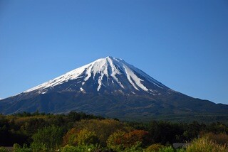 日本の平均年齢