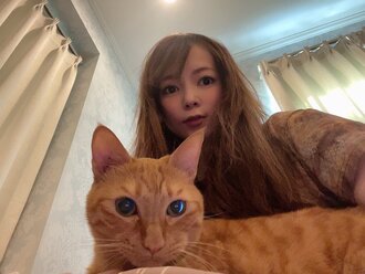 中川翔子と猫