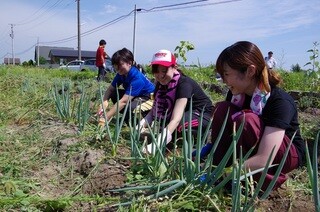 東日本大震災復興ボランティア