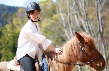 馬が発情している