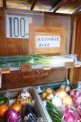 無人販売所の野菜泥棒 (1)
