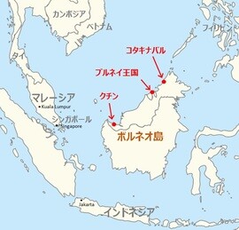ボルネオ島でオラウータンが売春