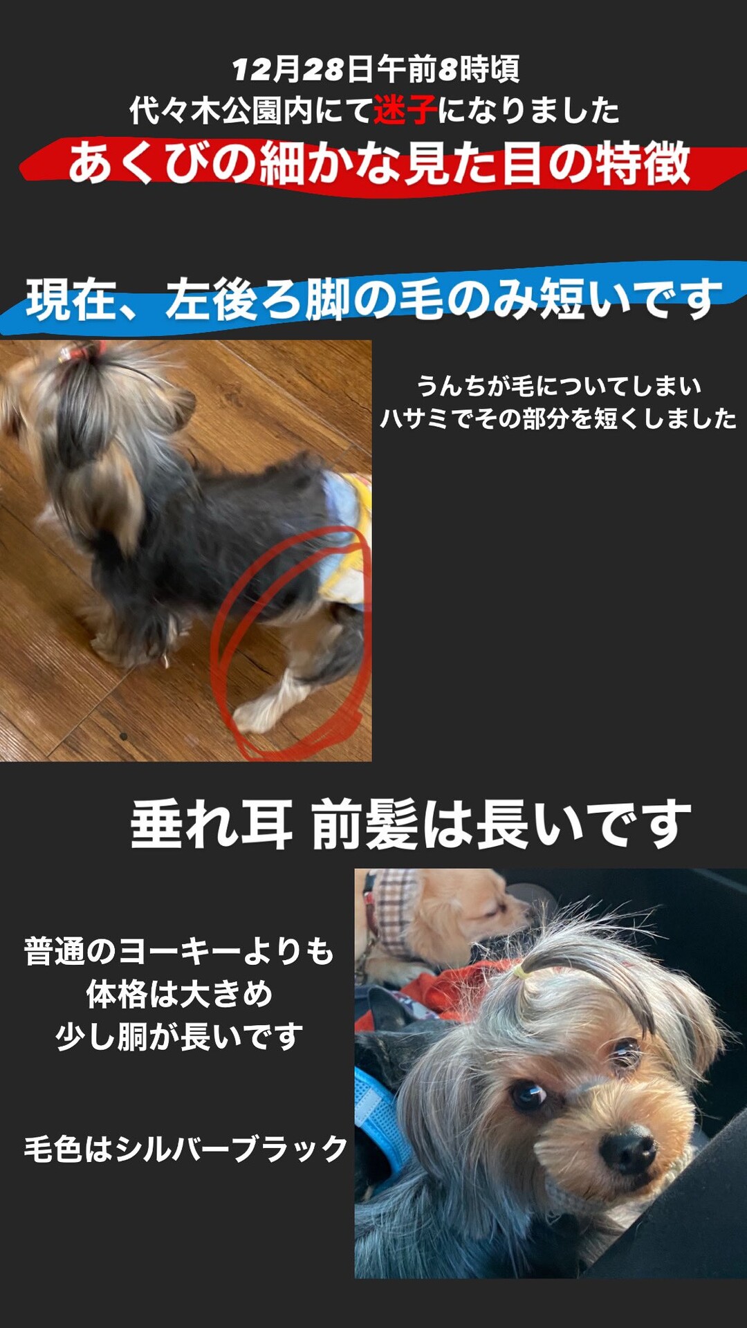 速報 金持ちの犬が迷子 懸賞金500万 急げ 女子アナお宝画像速報 5chまとめ 速報 金持ちの犬が迷子 懸賞金500万 急げ 女子アナお宝画像速報 5chまとめ