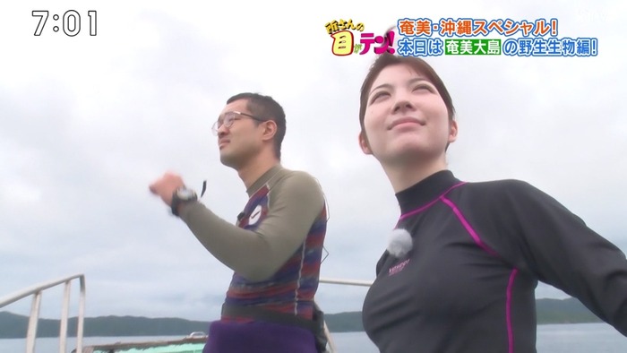 佐藤真知子アナのおっぱい