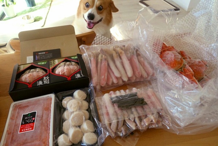 画像 イッヌさん ふるさと納税に大興奮してしまう 女子アナお宝画像速報 5chまとめ