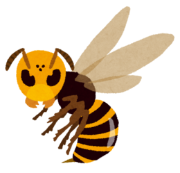 中国のオオスズメバチ