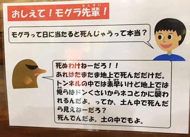 朗報 もぐら 簡単に殺せる 女子アナお宝画像速報 5chまとめ