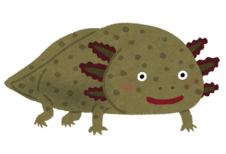 ウーパールーパー