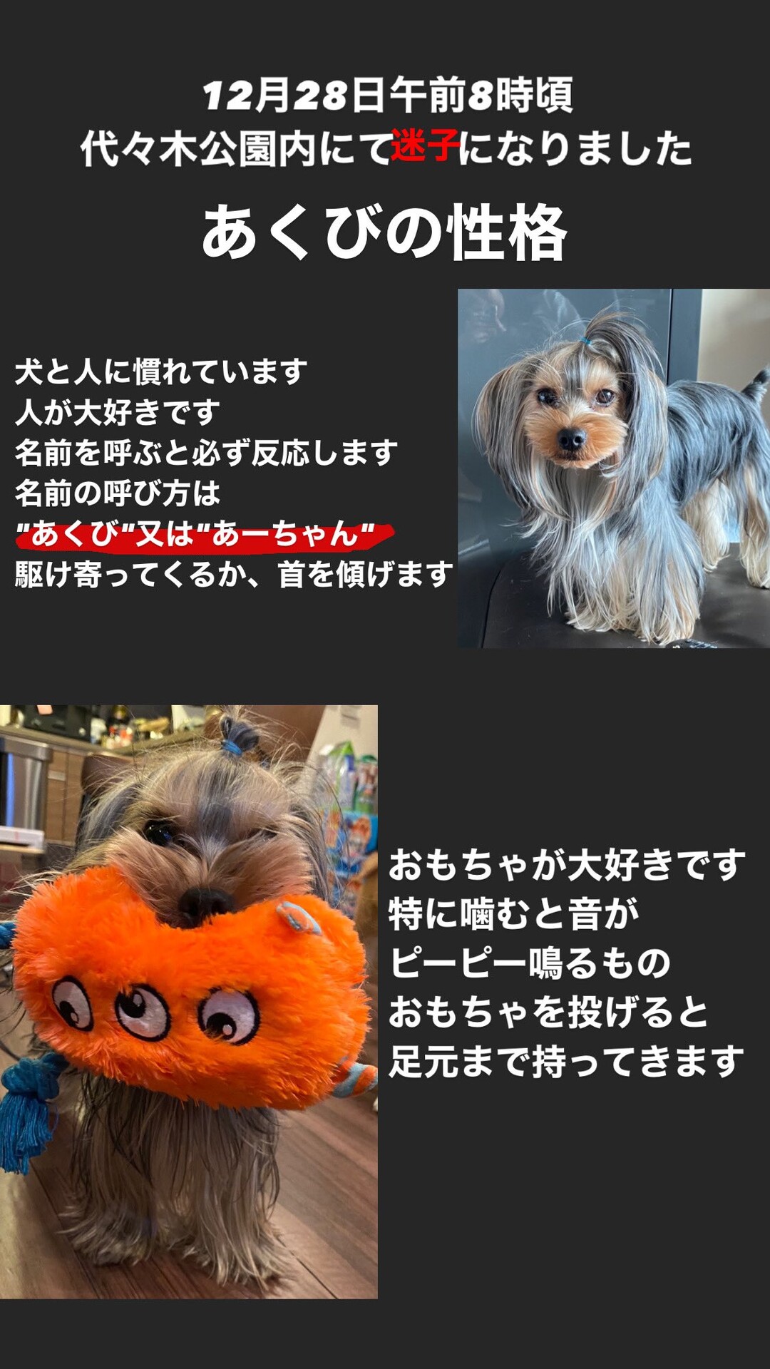 速報 金持ちの犬が迷子 懸賞金500万 急げ 女子アナお宝画像速報 5chまとめ 速報 金持ちの犬が迷子 懸賞金500万 急げ 女子アナお宝画像速報 5chまとめ