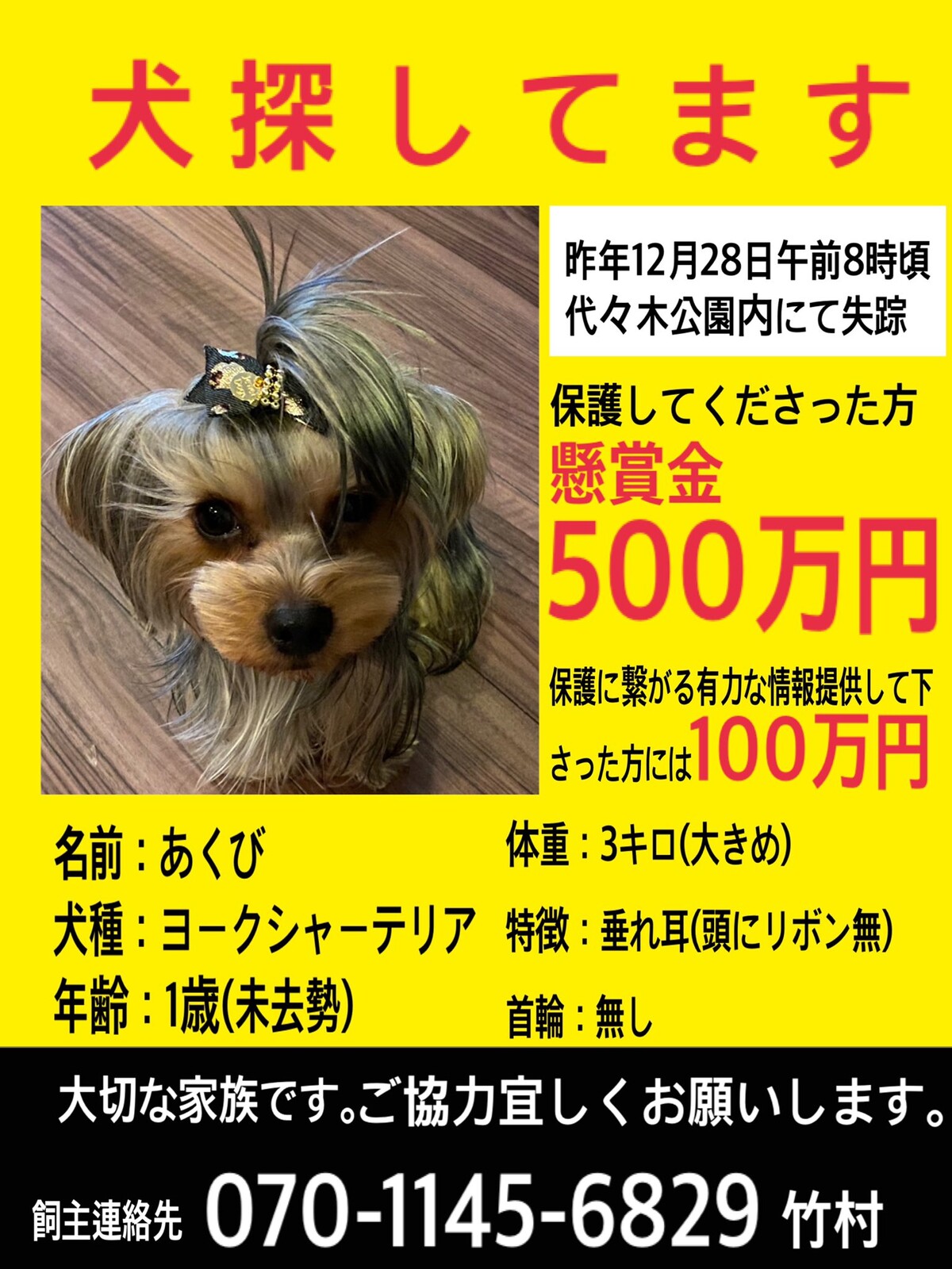 速報 金持ちの犬が迷子 懸賞金５００万 急げ 女子アナお宝画像速報 5chまとめ