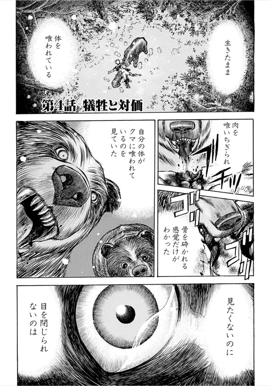 画像 ヒグマの爪が恐ろしすぎる 女子アナお宝画像速報 5chまとめ