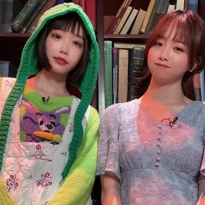 【画像】森香澄(31)さん、あのちゃんの横に並んだ結果wwwwww