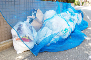 c7a307c447685fe364d4496ae02e5a5e