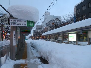 ビールを雪で冷やす 