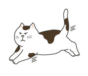 動画 陽キャの群れに放り込まれた陰キャの猫が見つかる 女子アナお宝画像速報 5chまとめ 動画 陽キャの群れに放り込まれた陰キャの猫が見つかる 女子アナお宝画像速報 5chまとめ