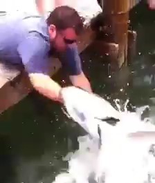素手でマグロを捕まえる白人男性