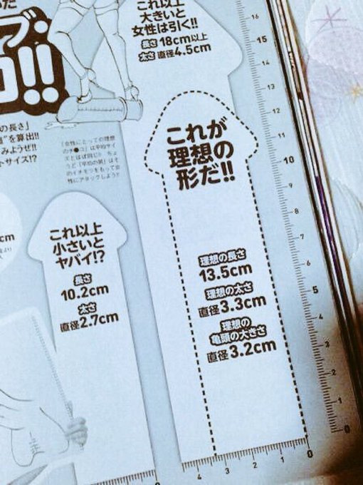 理想のチンコの形