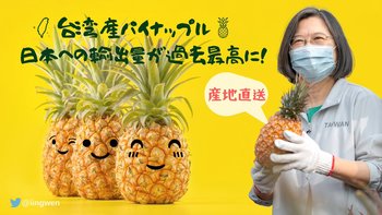 台湾パイナップルが売り切れ