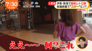 井上清華アナのケツ動画