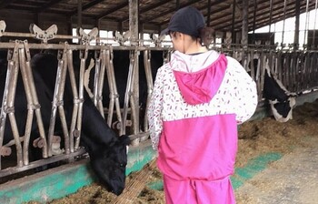 酪農女子のおっぱい