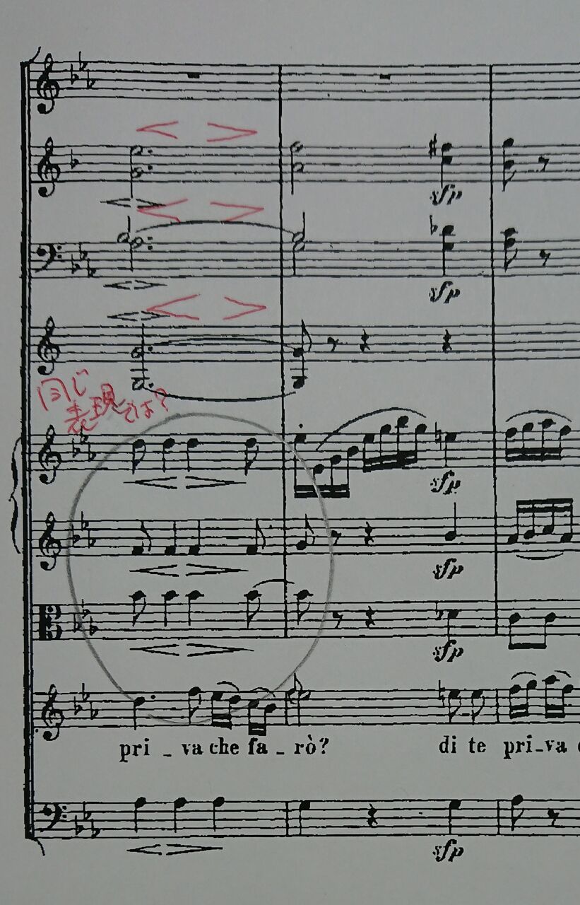 マエストロ日記