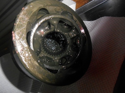 DSCN5873