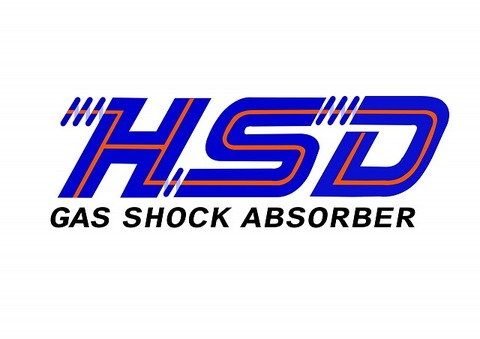 HSD-- copy