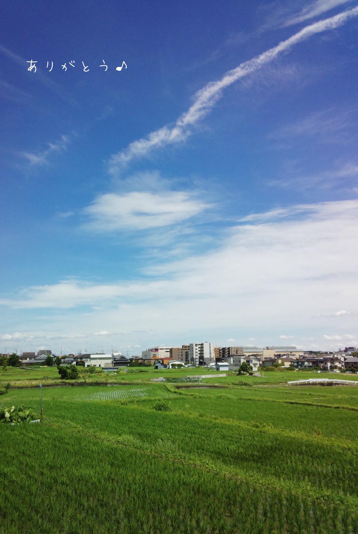 7月5日 お疲れ様です 癒しの空絵 空がある風景 7月5日 お疲れ様です 癒しの空絵 空がある風景
