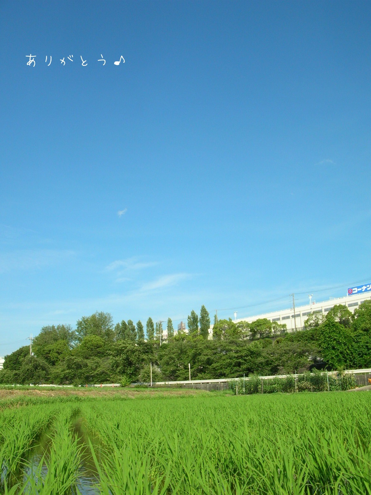 7月29日 こんにちは 癒しの空絵です W 空がある風景