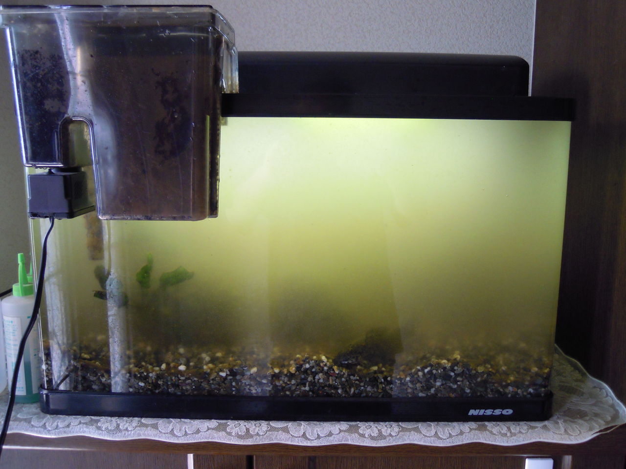 水槽リセット はぶ あ ていすと