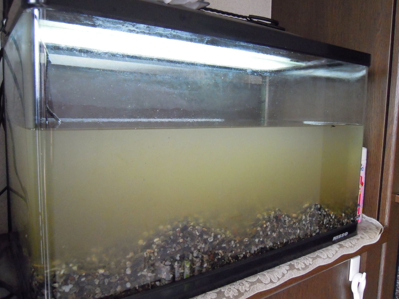 水槽リセット はぶ あ ていすと