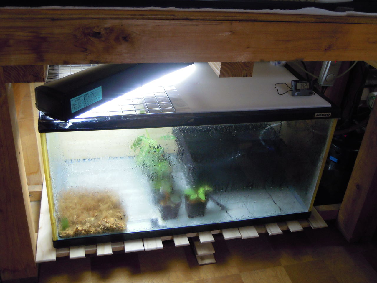 多湿系植物栽培ケースの立ち上げ はぶ あ ていすと 多湿系植物栽培ケースの立ち上げ はぶ あ ていすと