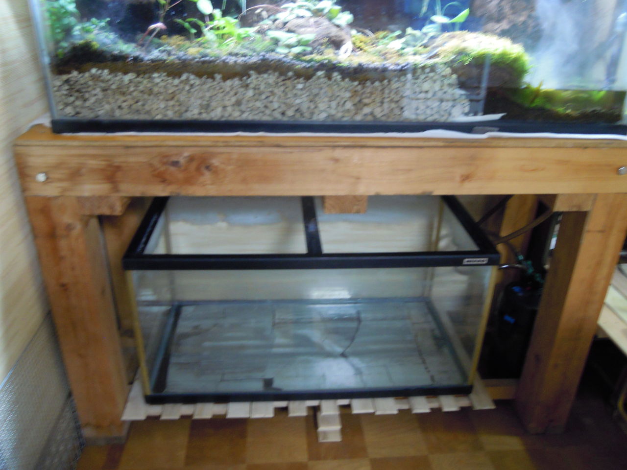 多湿系植物栽培ケースの立ち上げ はぶ あ ていすと