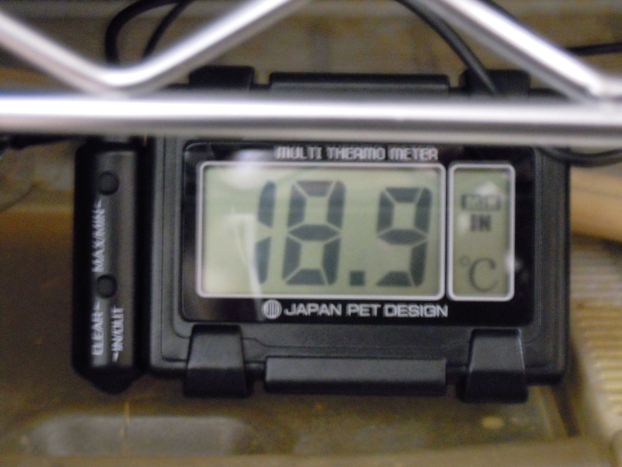 そろそろ冬眠 アフリカウシガエル はぶ あ ていすと そろそろ冬眠 アフリカウシガエル はぶ あ ていすと