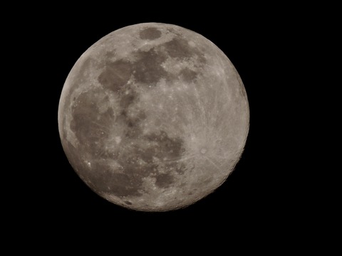 DSCN4808