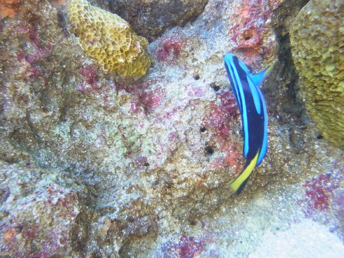 08c09794.jpg