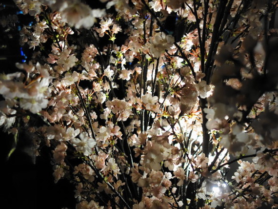 DSC05052