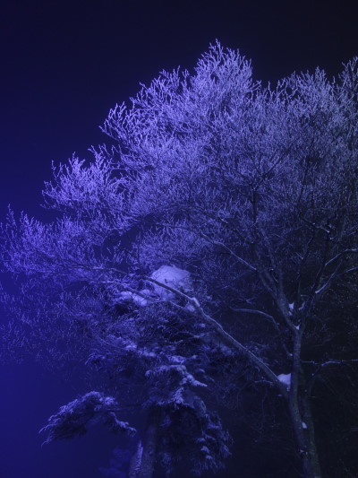 DSC04460