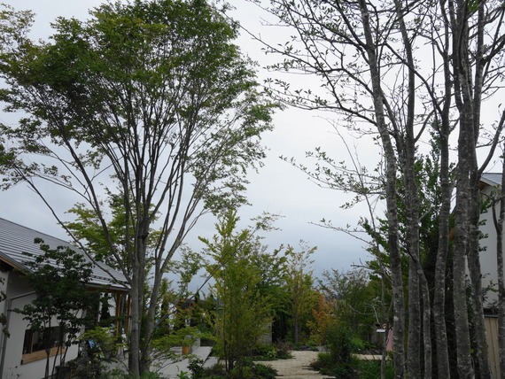 DSC04513