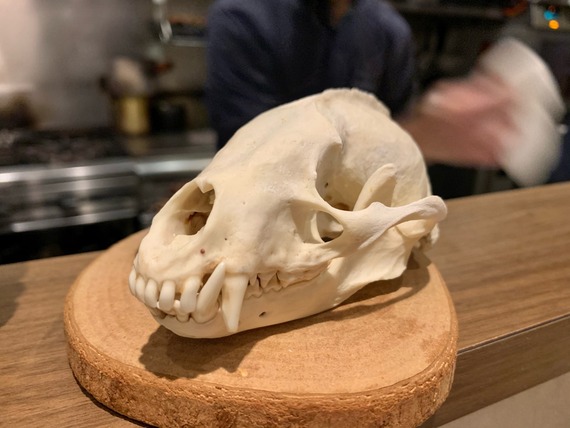 FullSizeRender