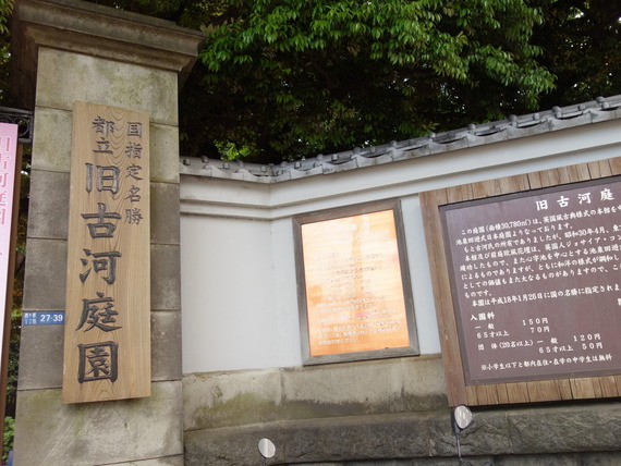 DSC02648
