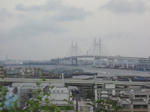 DSC00777