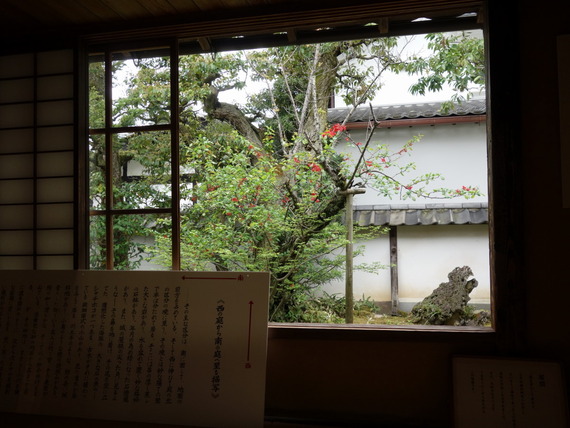 DSC01901