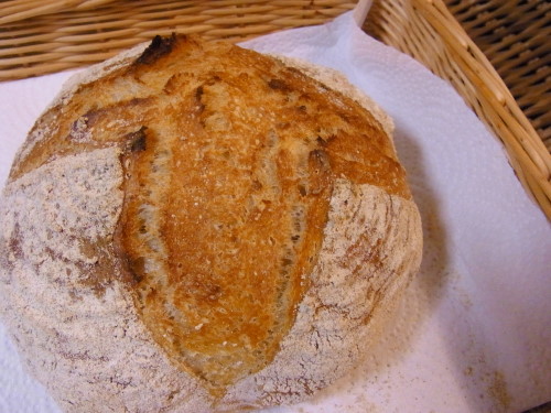 5802853e.jpg