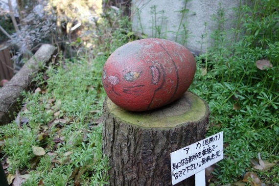 DSC00165