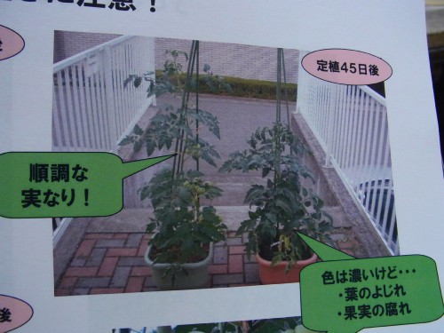 7054fcde.jpg
