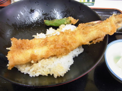 7519f919.jpg
